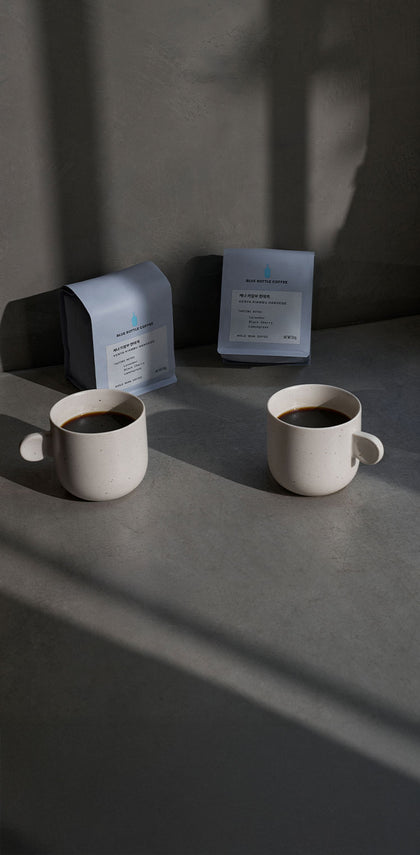 새로운 싱글 오리진